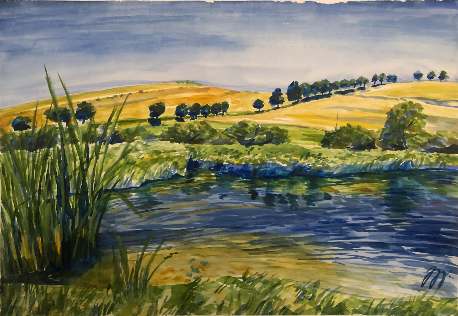 Anenský rybník-Drahany, 37,5x54,5cm, 2025,