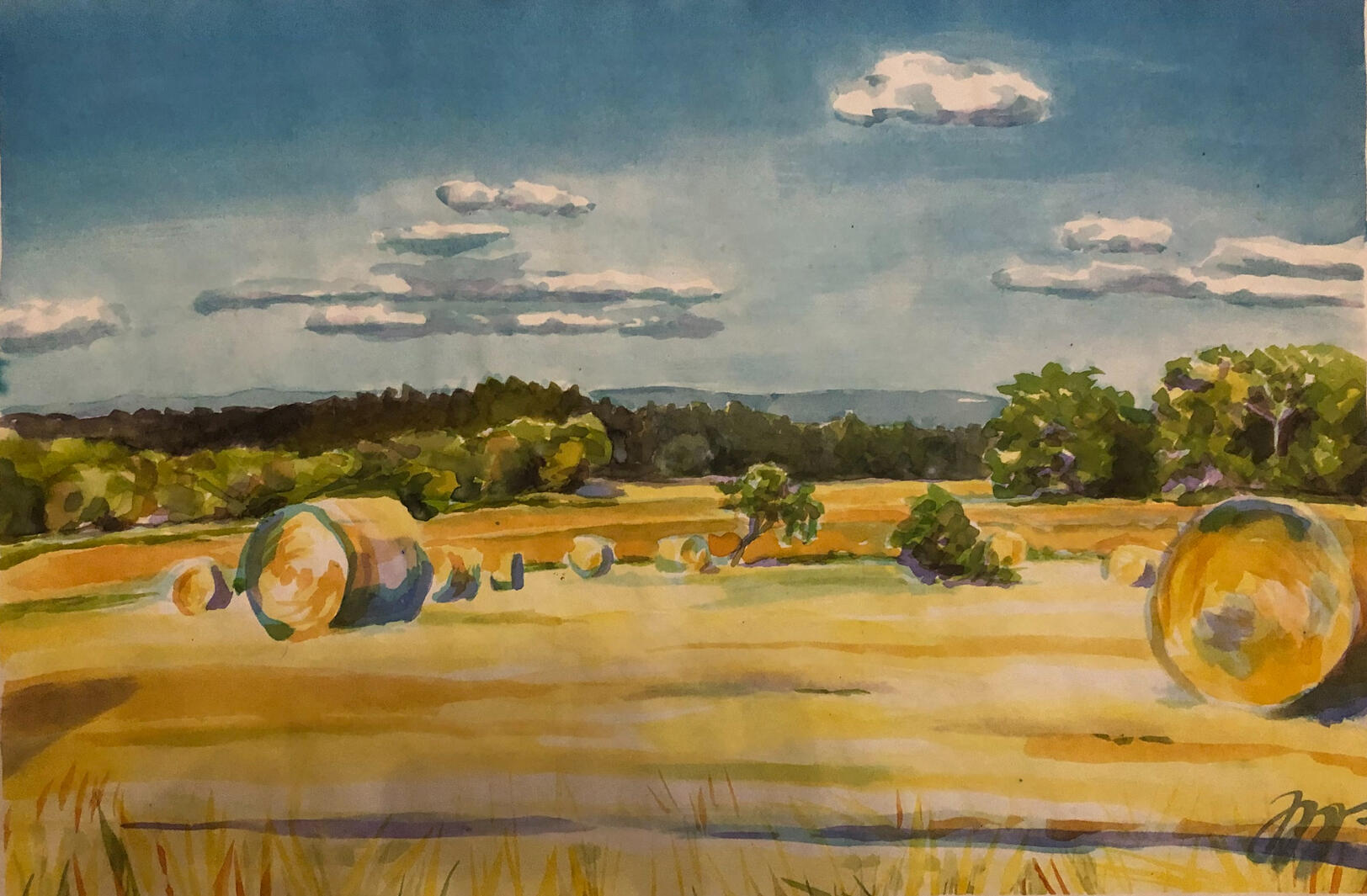 Jižní Čechy, 34,5x52 cm, 2024, 6 000,- kč